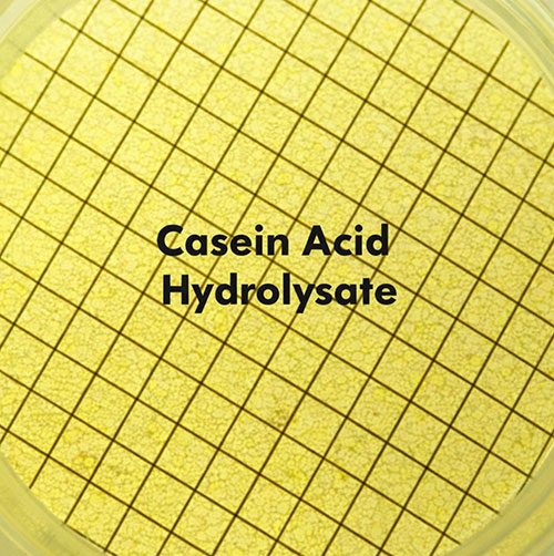 Casein Acid Hydrolysate