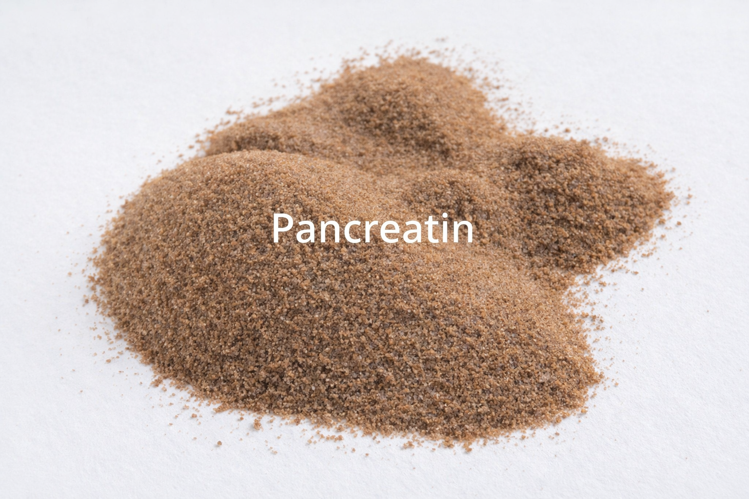 Pancreatin